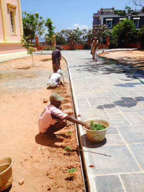 nouvelles plantes ont été choisies au Botanical Garden d’Auroville